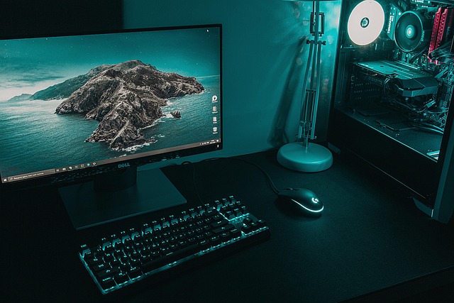 1 (1).jpg