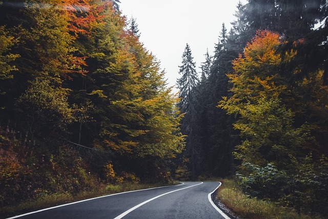1 (3).jpg