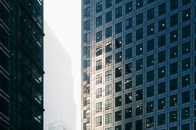1 (2).jpg