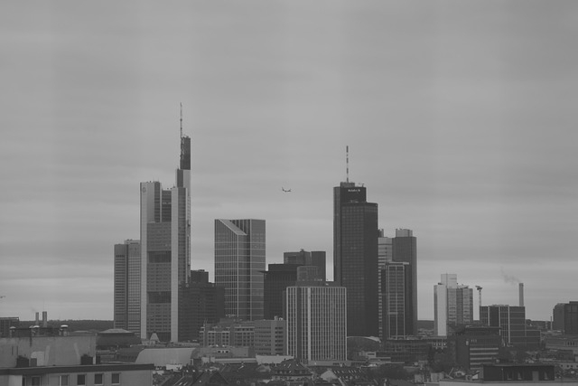 1 (4).jpg